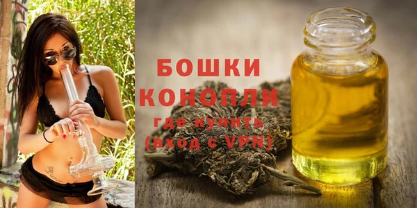 молекула духа Белоозёрский