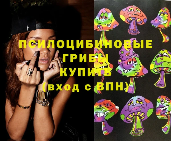 тгк Беломорск