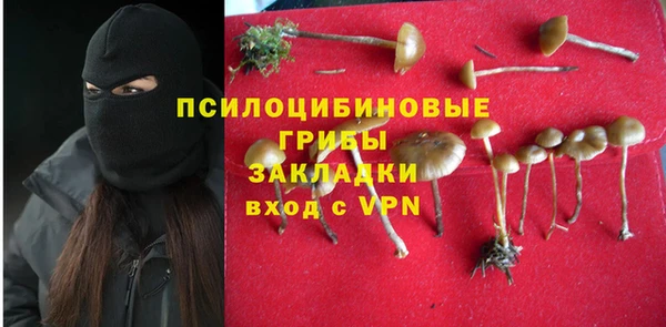 молекула духа Белоозёрский