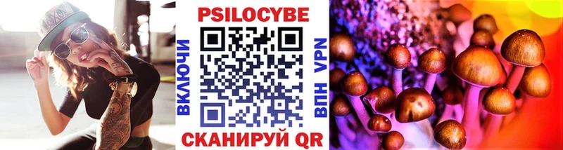 наркота Володарск Галлюциногенные грибы прущие грибы
